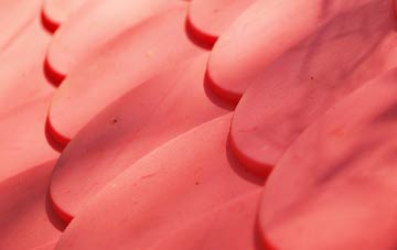 Friskney Eaudyke plastic roof costs